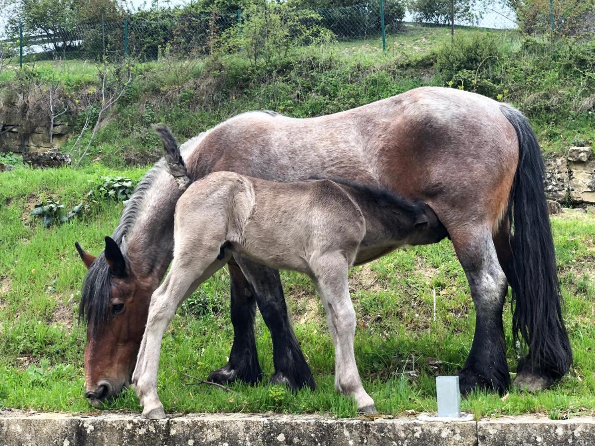 Casa Rural En Plena Naturaleza Lic Uvtr1524 Eguillor Εξωτερικό φωτογραφία