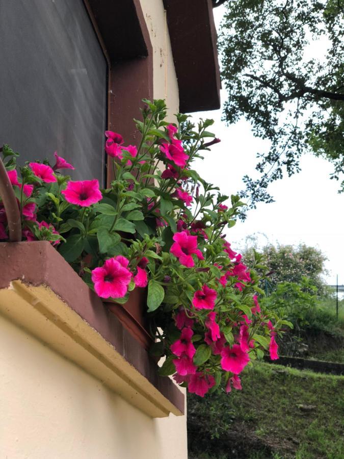 Casa Rural En Plena Naturaleza Lic Uvtr1524 Eguillor Εξωτερικό φωτογραφία